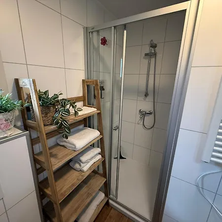 Apartment Detached With Private Hot Tub In Park Veluwshof