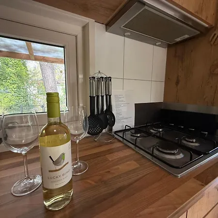 Apartment Detached With Private Hot Tub In Park Veluwshof