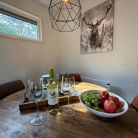 Detached With Private Hot Tub In Park Veluwshof Apartment Hoenderloo